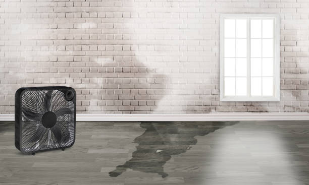 Best Fire Damage Restoration  in West Tawakoni, TX