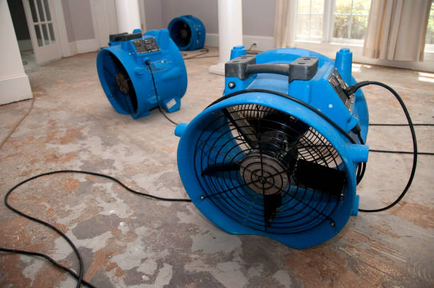 Professional Water damage restoration in TX