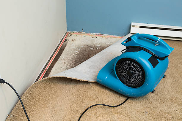 Best 24/7 water damage repair  in West Tawakoni, TX